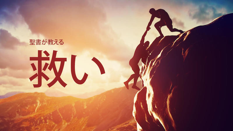 (663) “あなたがたは信仰によって救われたのです。…行いによるのではありません。だれも誇ることのないためです。”